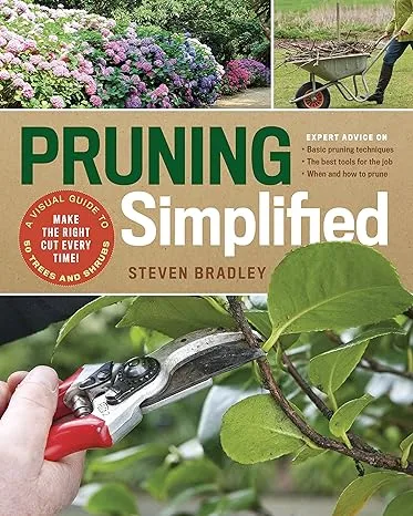 Pruning Simplified